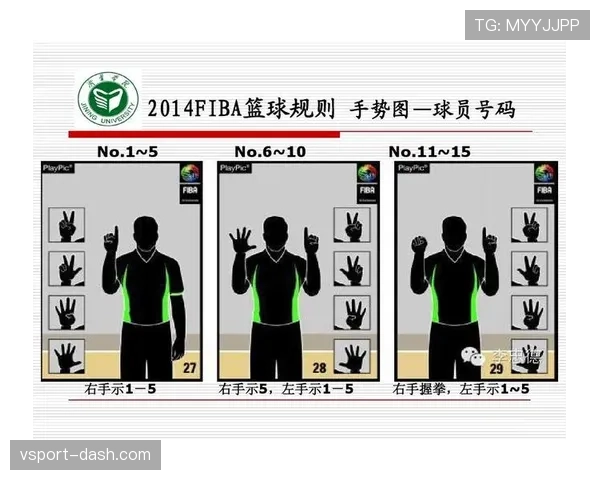 深度解析FIBA和NBA规则区别的判定标准