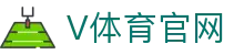 V体育 (VSPORT)官网 - 全球最专业体育赛事直播平台